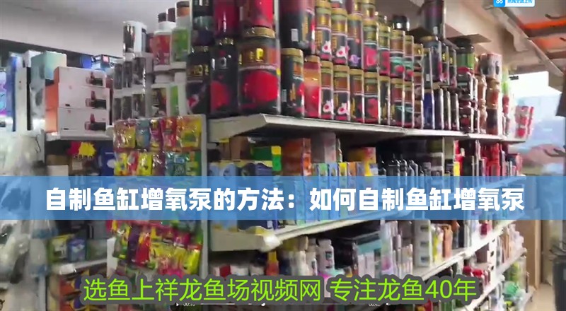 自制魚缸增氧泵的方法：如何自制魚缸增氧泵