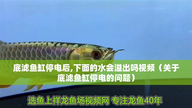 底濾魚缸停電后,下面的水會溢出嗎視頻（關(guān)于底濾魚缸停電的問題）
