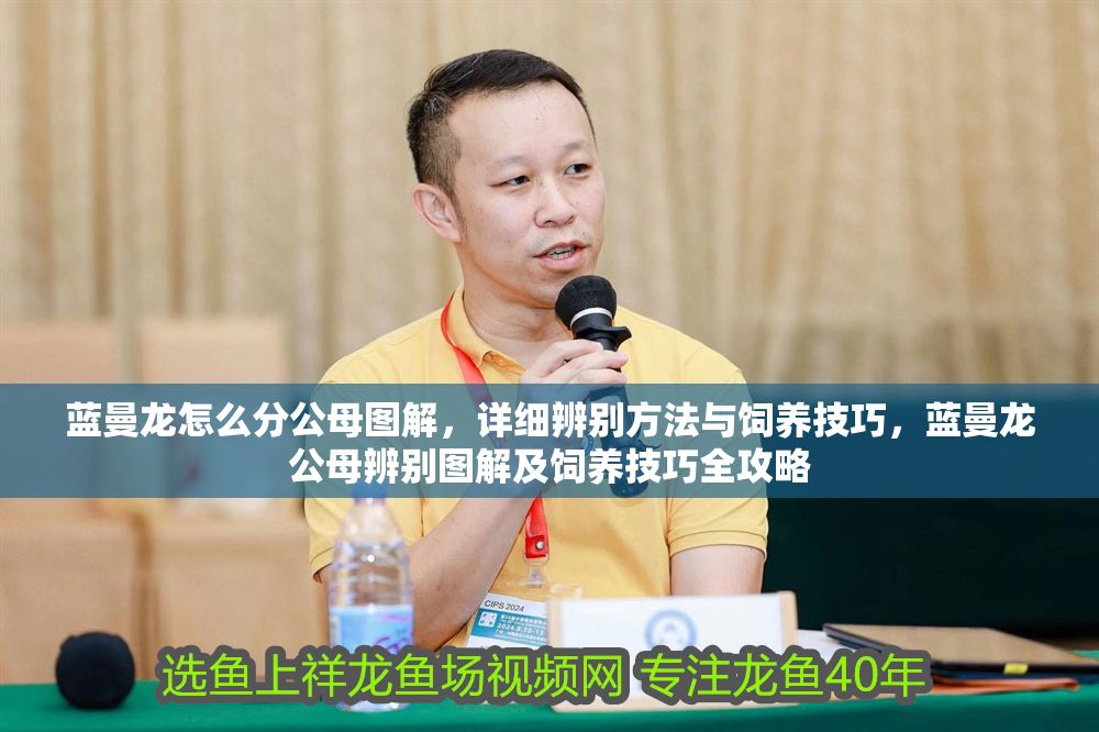 藍曼龍怎么分公母圖解，詳細辨別方法與飼養技巧，藍曼龍公母辨別圖解及飼養技巧全攻略