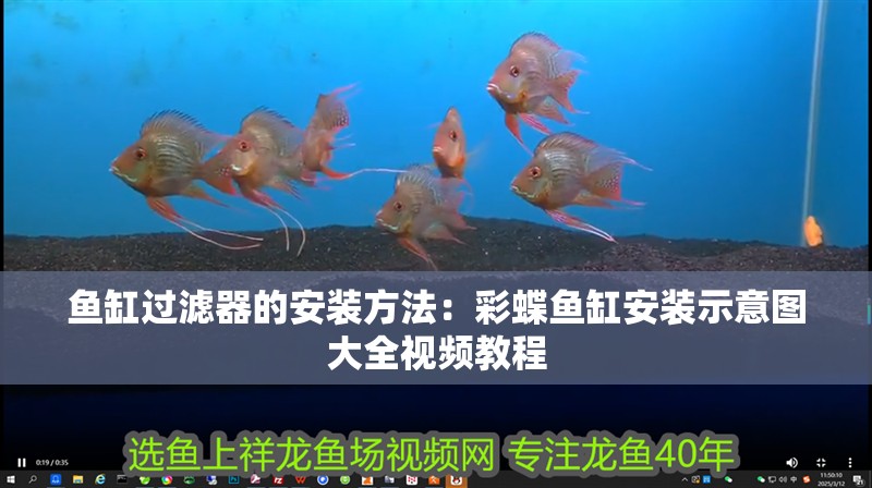 魚缸過濾器的安裝方法：彩蝶魚缸安裝示意圖大全視頻教程