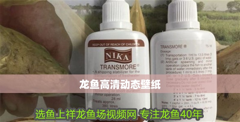 龍魚高清動態(tài)壁紙 龍魚高清動態(tài)壁紙 龍魚百科