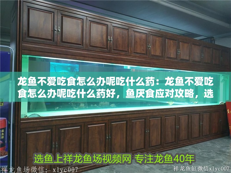 龍魚不愛吃食怎么辦呢吃什么藥：龍魚不愛吃食怎么辦呢吃什么藥好，魚厭食應(yīng)對攻略，選藥與 龍魚不愛吃食怎么辦呢吃什么藥：龍魚不愛吃食怎么辦呢吃什么藥好，魚厭食應(yīng)對攻略，選藥與 水族問答