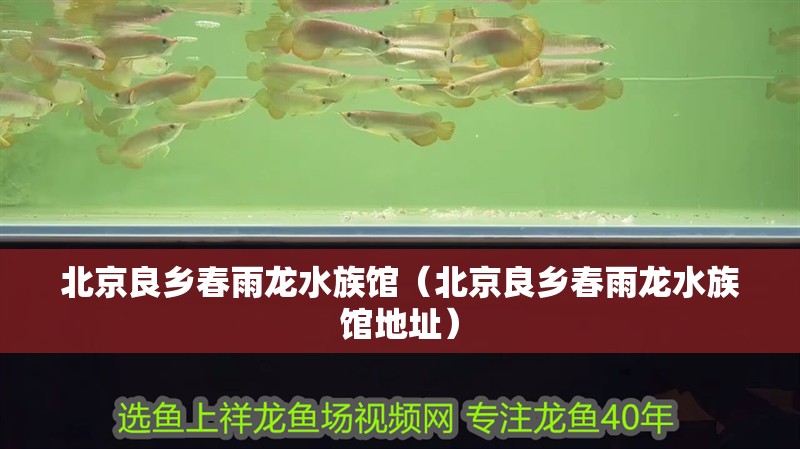 北京良鄉春雨龍水族館（北京良鄉春雨龍水族館地址）