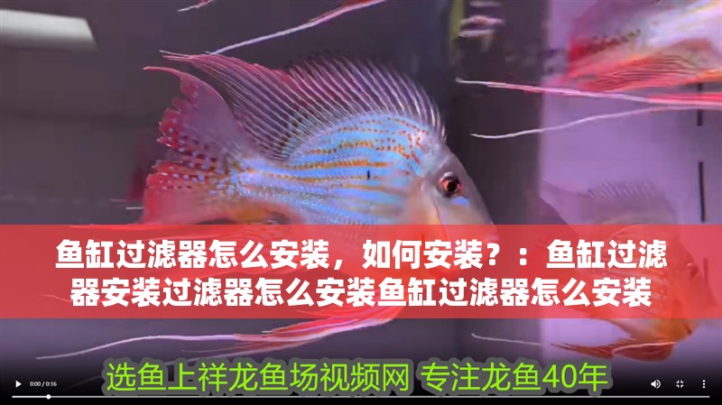 魚(yú)缸過(guò)濾器怎么安裝，如何安裝？：魚(yú)缸過(guò)濾器安裝過(guò)濾器怎么安裝魚(yú)缸過(guò)濾器怎么安裝