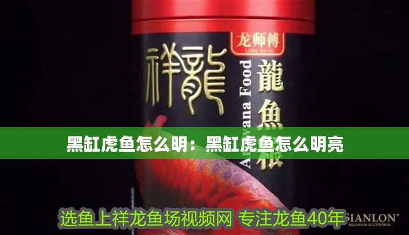 黑缸虎魚怎么明：黑缸虎魚怎么明亮