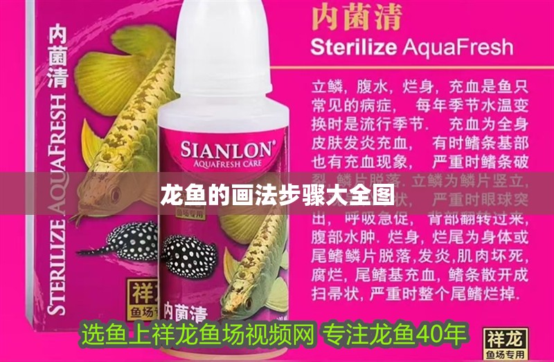 龍魚的畫法步驟大全圖