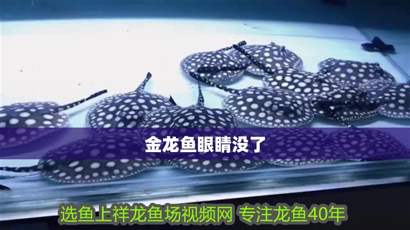 金龍魚眼睛沒了