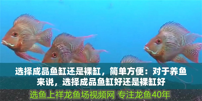 選擇成品魚缸還是裸缸，簡單方便：對于養(yǎng)魚來說，選擇成品魚缸好還是裸缸好