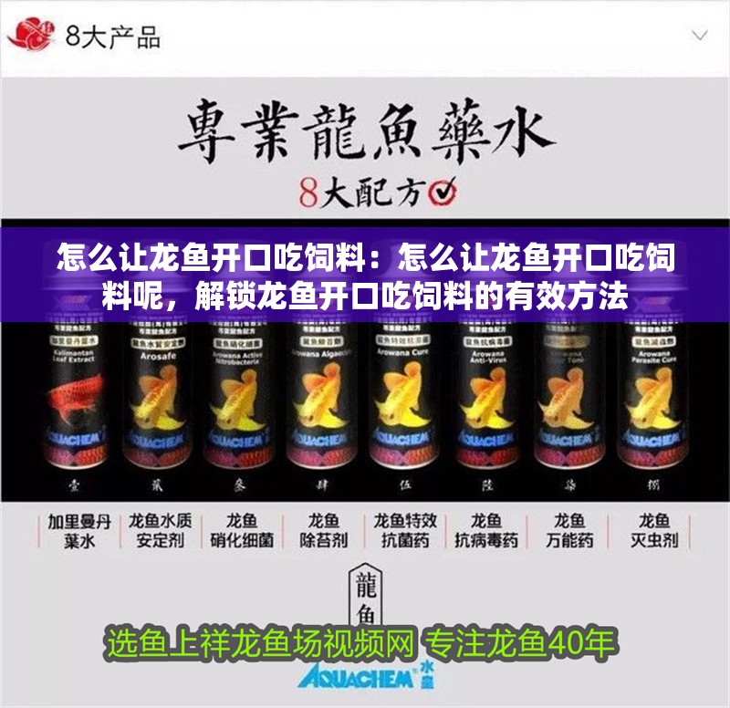 怎么讓龍魚開口吃飼料：怎么讓龍魚開口吃飼料呢，解鎖龍魚開口吃飼料的有效方法
