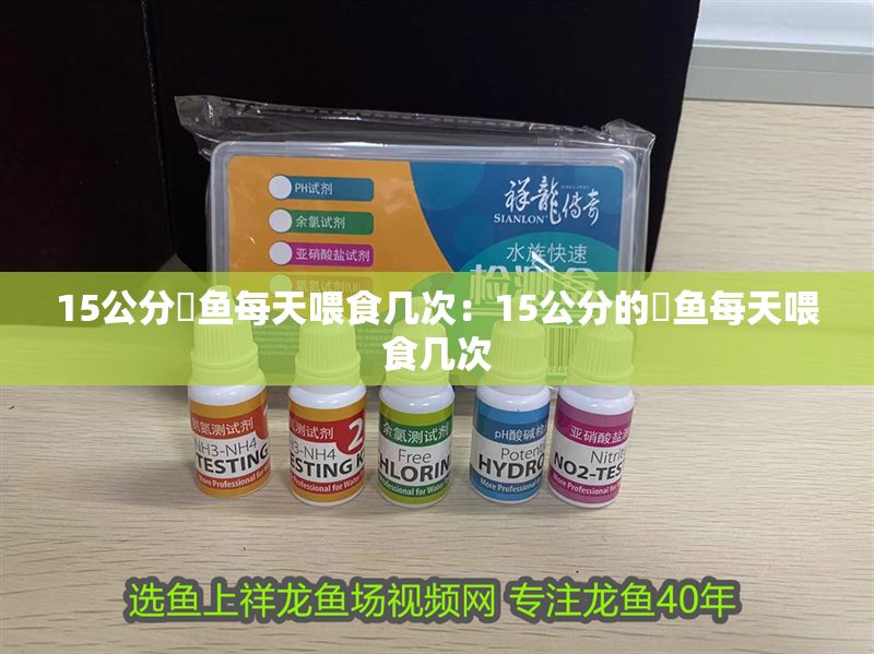 15公分魟魚每天喂食幾次：15公分的魟魚每天喂食幾次