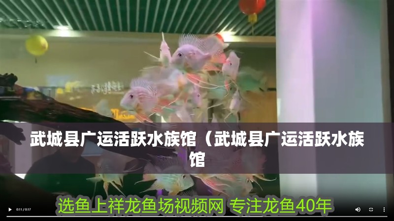 武城縣廣運活躍水族館（武城縣廣運活躍水族館