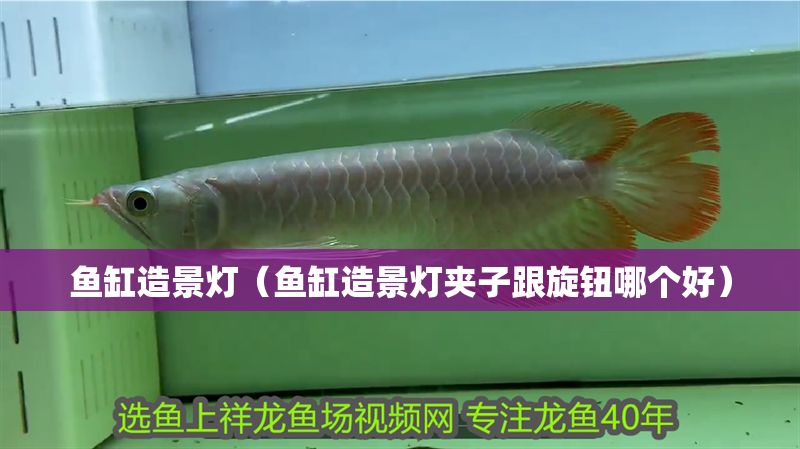 魚缸造景燈（魚缸造景燈夾子跟旋鈕哪個好）