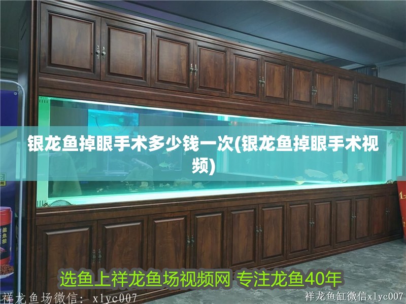 銀龍魚(yú)掉眼手術(shù)多少錢一次(銀龍魚(yú)掉眼手術(shù)視頻) 銀龍魚(yú)掉眼手術(shù)多少錢一次(銀龍魚(yú)掉眼手術(shù)視頻) 銀龍魚(yú)百科