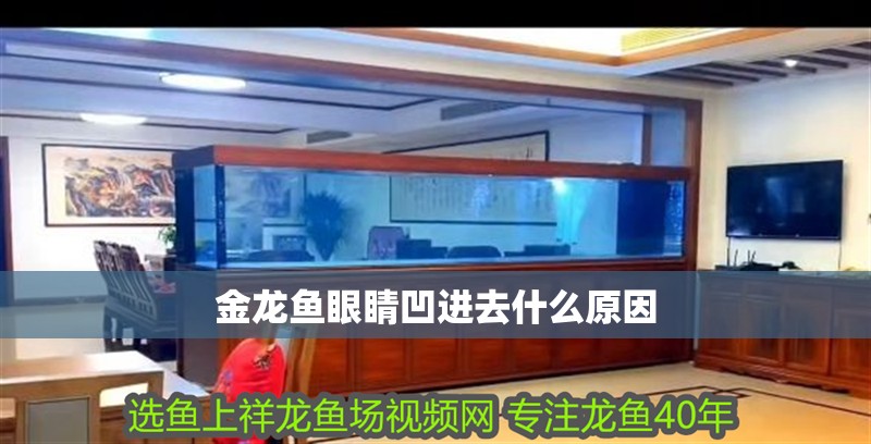 金龍魚眼睛凹進去什么原因