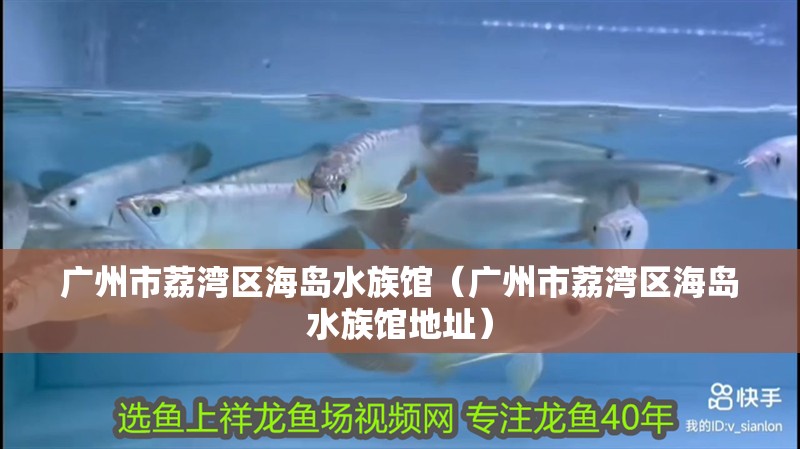 廣州市荔灣區海島水族館（廣州市荔灣區海島水族館地址）