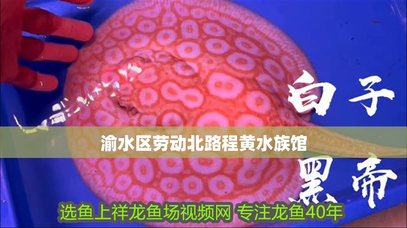 渝水區勞動北路程黃水族館