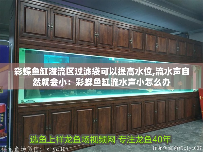 彩蝶魚缸溢流區過濾袋可以提高水位,流水聲自然就會?。翰实~缸流水聲小怎么辦