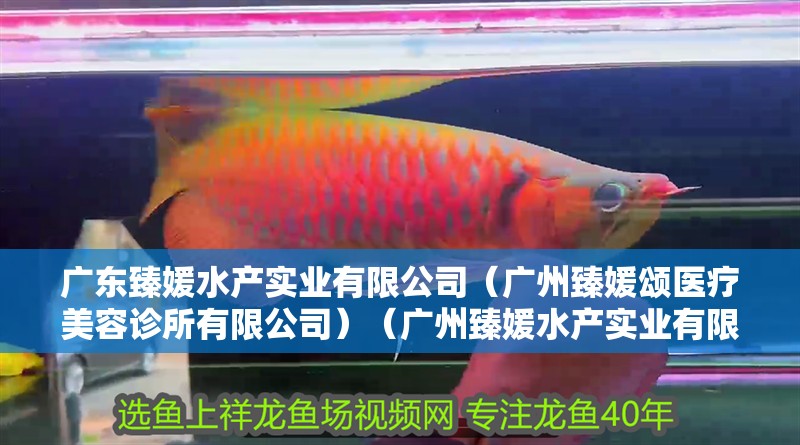 給大魚缸換水的作文:體驗給大魚缸換水的樂趣:體驗給大魚缸換水:給大魚缸換水的作文 廣東臻媛水產實業有限公司(廣州臻媛頌醫療美容診所有限公司)(廣州臻媛水產實業有限公司) 全國水族館企業名錄 廣東臻媛水產實業有限公司(廣州臻媛頌醫療美容診所有限公司)(廣州臻媛水產實業有限公司) 廣東臻媛水產實業有限公司(廣州臻媛頌醫療美容診所有限公司)(廣州臻媛水產實業有限公司) 全國水族館企業名錄