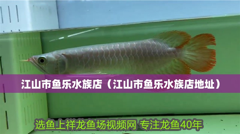江山市魚樂水族店（江山市魚樂水族店地址）