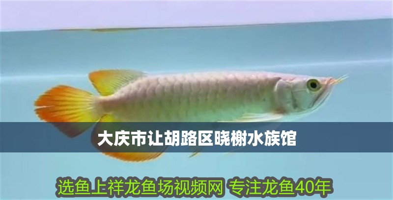 大慶市讓胡路區(qū)曉榭水族館