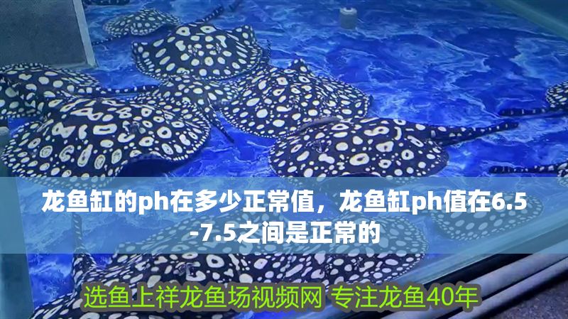 龍魚缸的ph在多少正常值，龍魚缸ph值在6.5-7.5之間是正常的