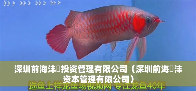 深圳前海灃沄投資管理有限公司（深圳前海溋灃資本管理有限公司） 深圳前海灃沄投資管理有限公司（深圳前海溋灃資本管理有限公司） 全國水族館企業(yè)名錄 第2張