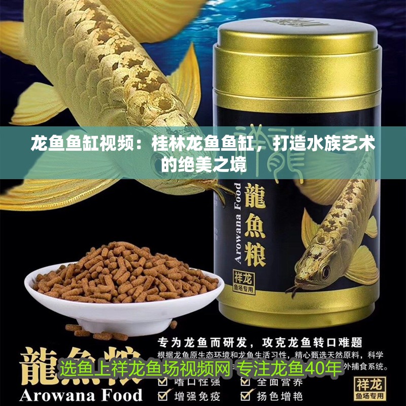 龍魚魚缸視頻：桂林龍魚魚缸，打造水族藝術(shù)的絕美之境
