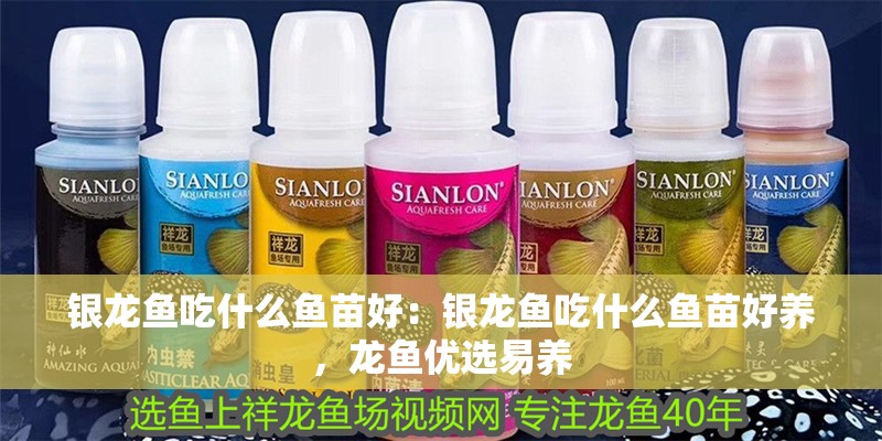 銀龍魚吃什么魚苗好：銀龍魚吃什么魚苗好養，龍魚優選易養