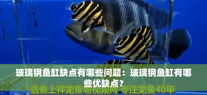 玻璃鋼魚缸缺點有哪些問題：玻璃鋼魚缸有哪些優缺點？