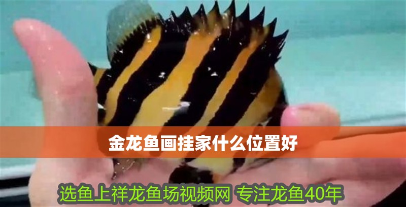 金龍魚畫掛家什么位置好