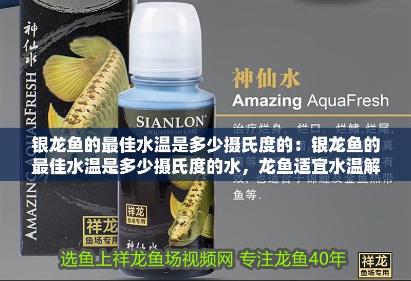 銀龍魚的最佳水溫是多少攝氏度的：銀龍魚的最佳水溫是多少攝氏度的水，龍魚適宜水溫解析，最佳養殖溫度