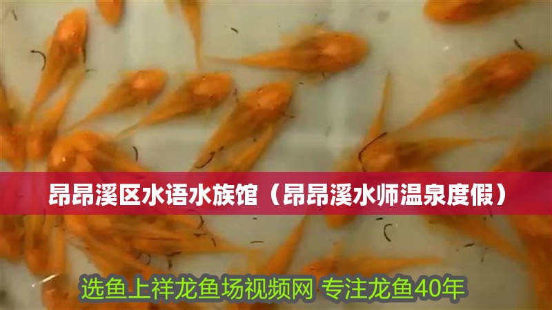 昂昂溪區(qū)水語水族館（昂昂溪水師溫泉度假） 昂昂溪區(qū)水語水族館（昂昂溪水師溫泉度假） 全國水族館企業(yè)名錄 第2張