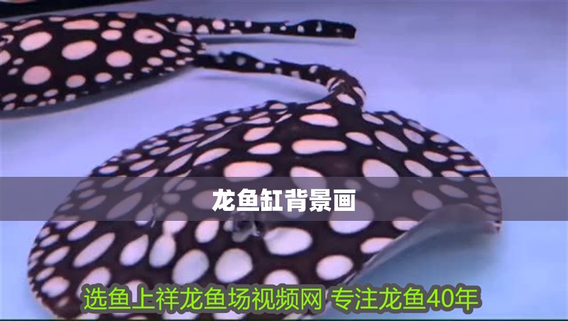 龍魚缸背景畫