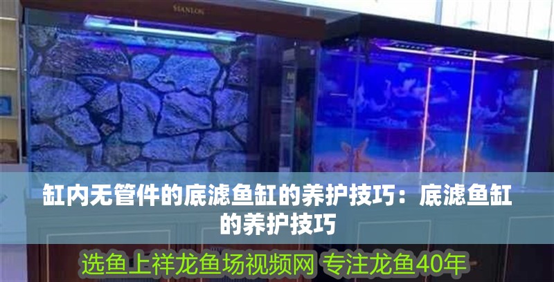 缸內(nèi)無管件的底濾魚缸的養(yǎng)護(hù)技巧：底濾魚缸的養(yǎng)護(hù)技巧