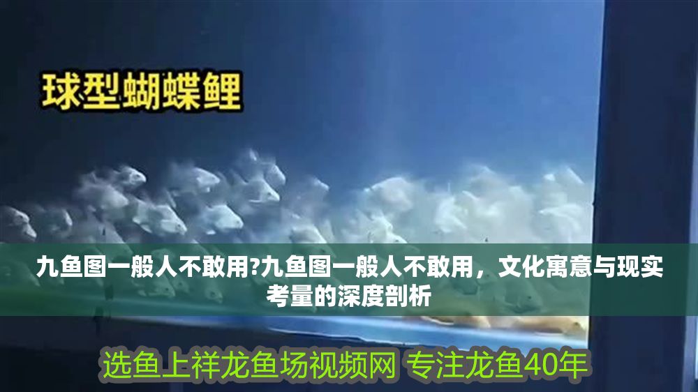 九魚圖一般人不敢用?九魚圖一般人不敢用，文化寓意與現實考量的深度剖析