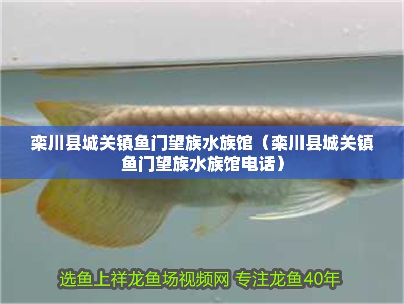欒川縣城關鎮魚門望族水族館（欒川縣城關鎮魚門望族水族館電話）