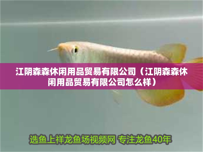 江陰森森休閑用品貿易有限公司(江陰森森休閑用品貿易有限公司怎么樣) 全國水族館企業名錄 第2張 江陰森森休閑用品貿易有限公司(江陰森森休閑用品貿易有限公司怎么樣) 江陰森森休閑用品貿易有限公司(江陰森森休閑用品貿易有限公司怎么樣) 全國水族館企業名錄 第2張