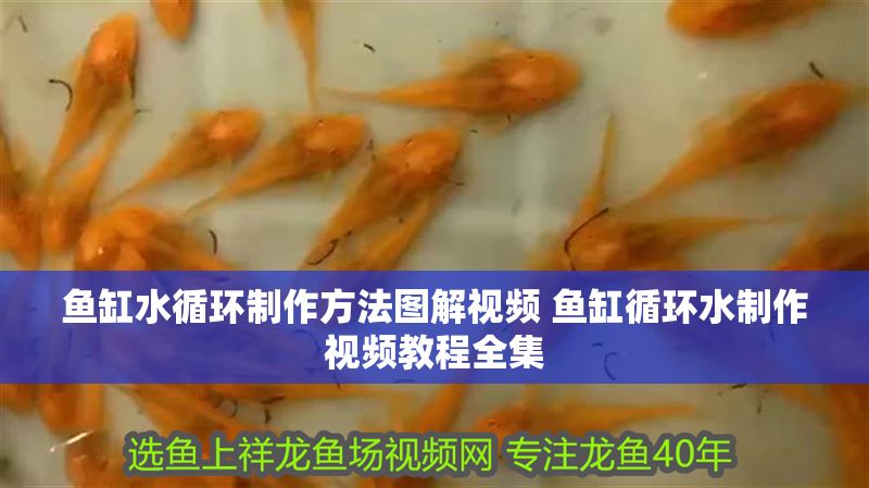 魚缸水循環制作方法圖解視頻 魚缸循環水制作視頻教程全集