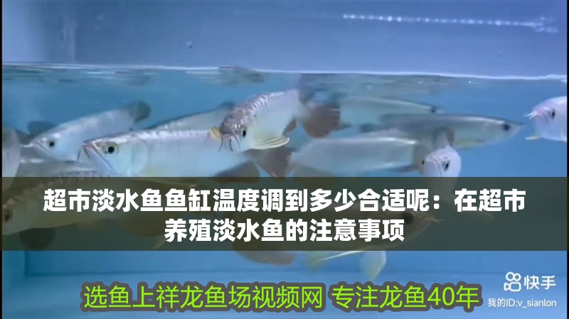 超市淡水魚魚缸溫度調到多少合適呢：在超市養殖淡水魚的注意事項