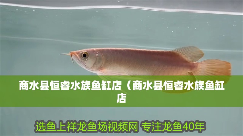商水縣恒睿水族魚缸店(商水縣恒睿水族魚缸店 全國水族館企業名錄 第2張 商水縣恒睿水族魚缸店(商水縣恒睿水族魚缸店 商水縣恒睿水族魚缸店(商水縣恒睿水族魚缸店 全國水族館企業名錄 第2張