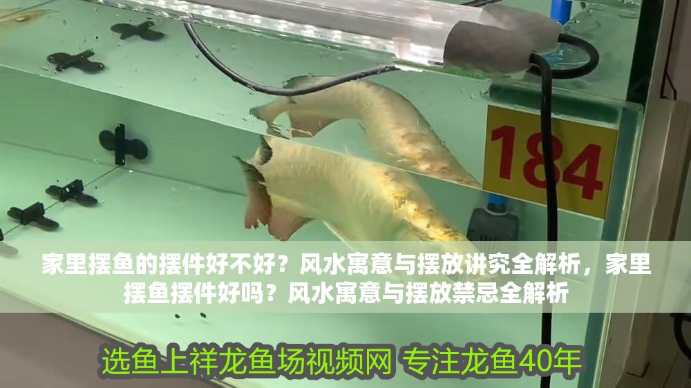 家里擺魚的擺件好不好？風水寓意與擺放講究全解析，家里擺魚擺件好嗎？風水寓意與擺放禁忌全解析