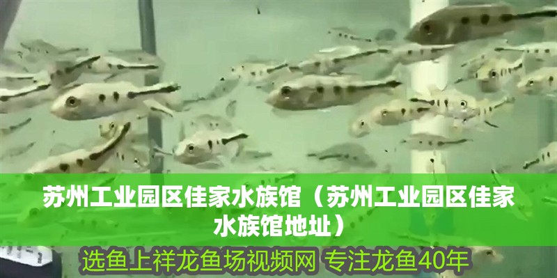 蘇州工業園區佳家水族館（蘇州工業園區佳家水族館地址） 蘇州工業園區佳家水族館（蘇州工業園區佳家水族館地址） 全國水族館企業名錄 第2張