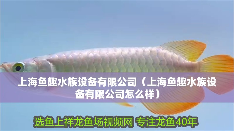 上海魚趣水族設備有限公司（上海魚趣水族設備有限公司怎么樣）