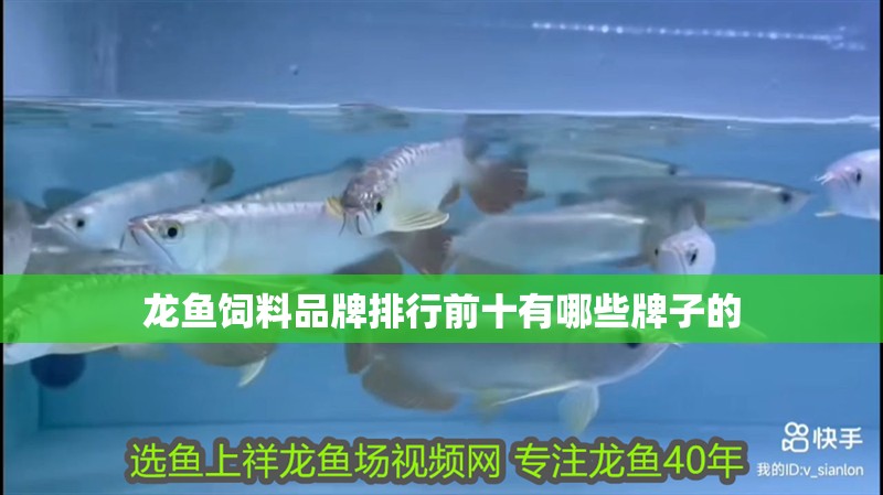 龍魚飼料品牌排行前十有哪些牌子的