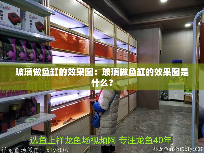 玻璃做魚缸的效果圖：玻璃做魚缸的效果圖是什么？