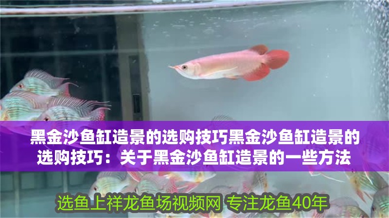黑金沙魚缸造景的選購技巧黑金沙魚缸造景的選購技巧：關于黑金沙魚缸造景的一些方法