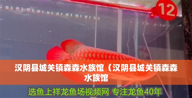 漢陰縣城關鎮森森水族館（漢陰縣城關鎮森森水族館 漢陰縣城關鎮森森水族館（漢陰縣城關鎮森森水族館 全國水族館企業名錄 第2張