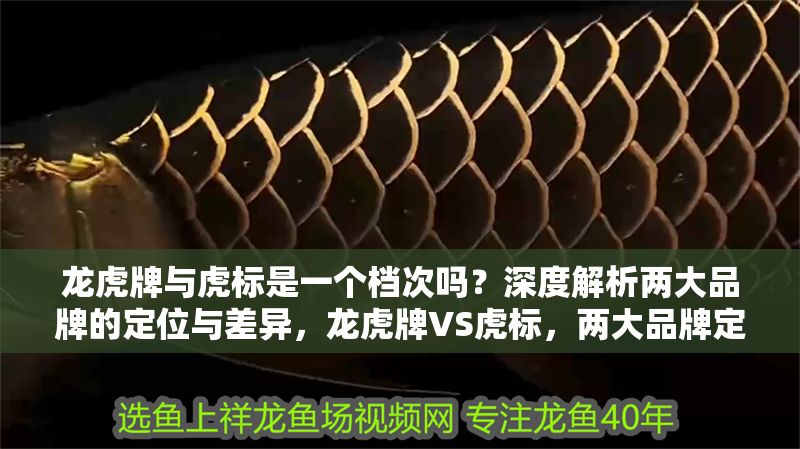 龍虎牌與虎標(biāo)是一個(gè)檔次嗎？深度解析兩大品牌的定位與差異，龍虎牌VS虎標(biāo)，兩大品牌定位與差異全解析