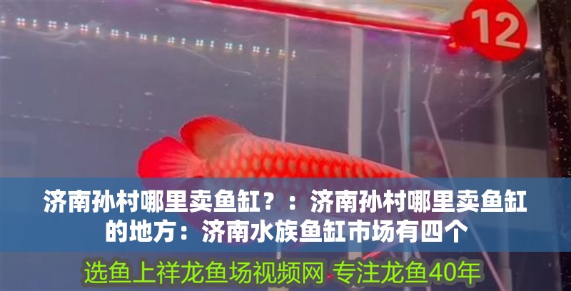 濟南孫村哪里賣魚缸？：濟南孫村哪里賣魚缸的地方：濟南水族魚缸市場有四個