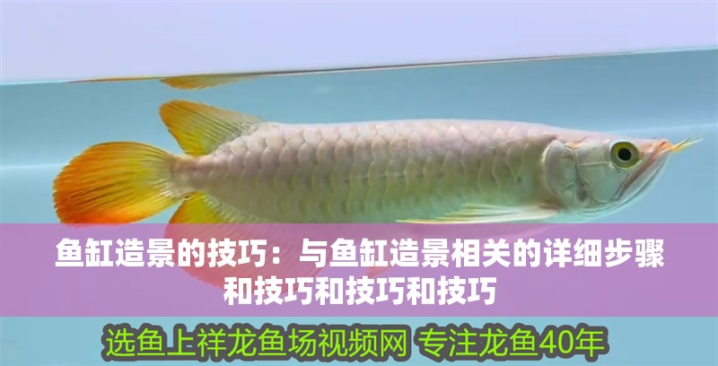 魚缸造景的技巧：與魚缸造景相關的詳細步驟和技巧和技巧和技巧